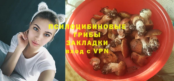 стаф Михайлов
