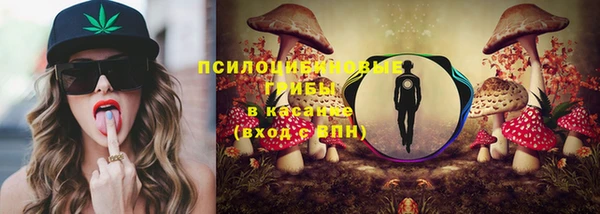 стаф Михайлов
