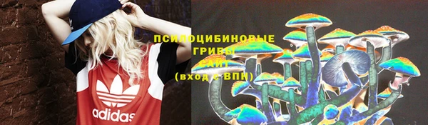 стаф Михайлов